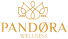PANDORA SPA LILLE